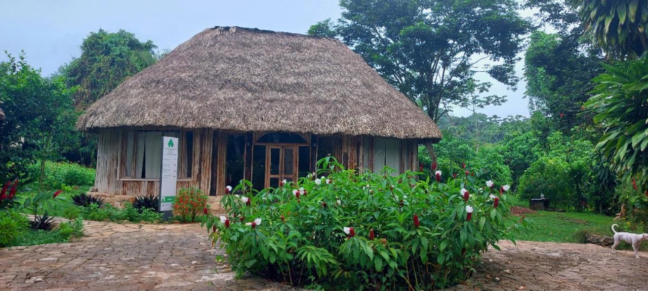 Eco Hotel Sak Nok Lacanjá Zewnętrze zdjęcie